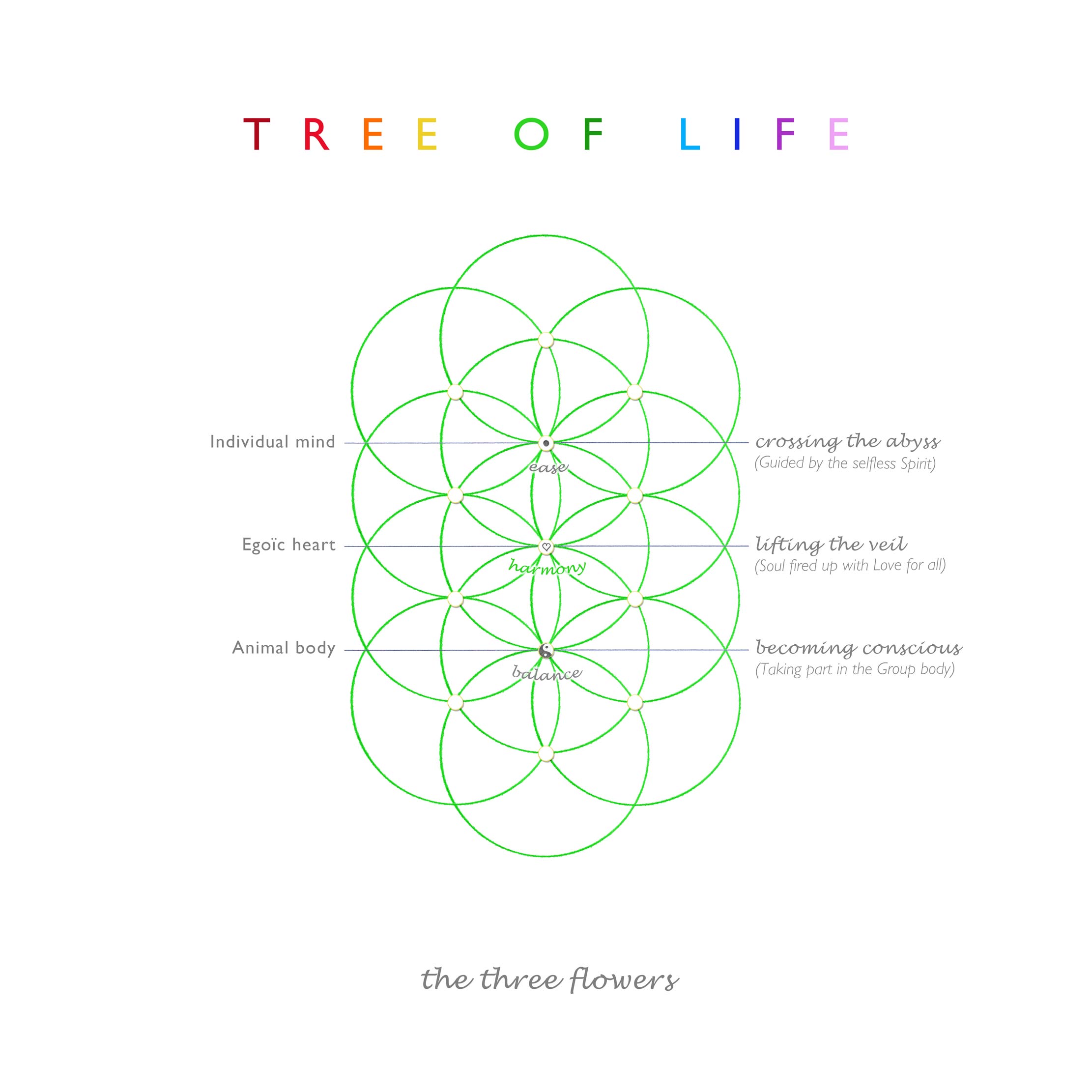 Tree of Life | the three flowers