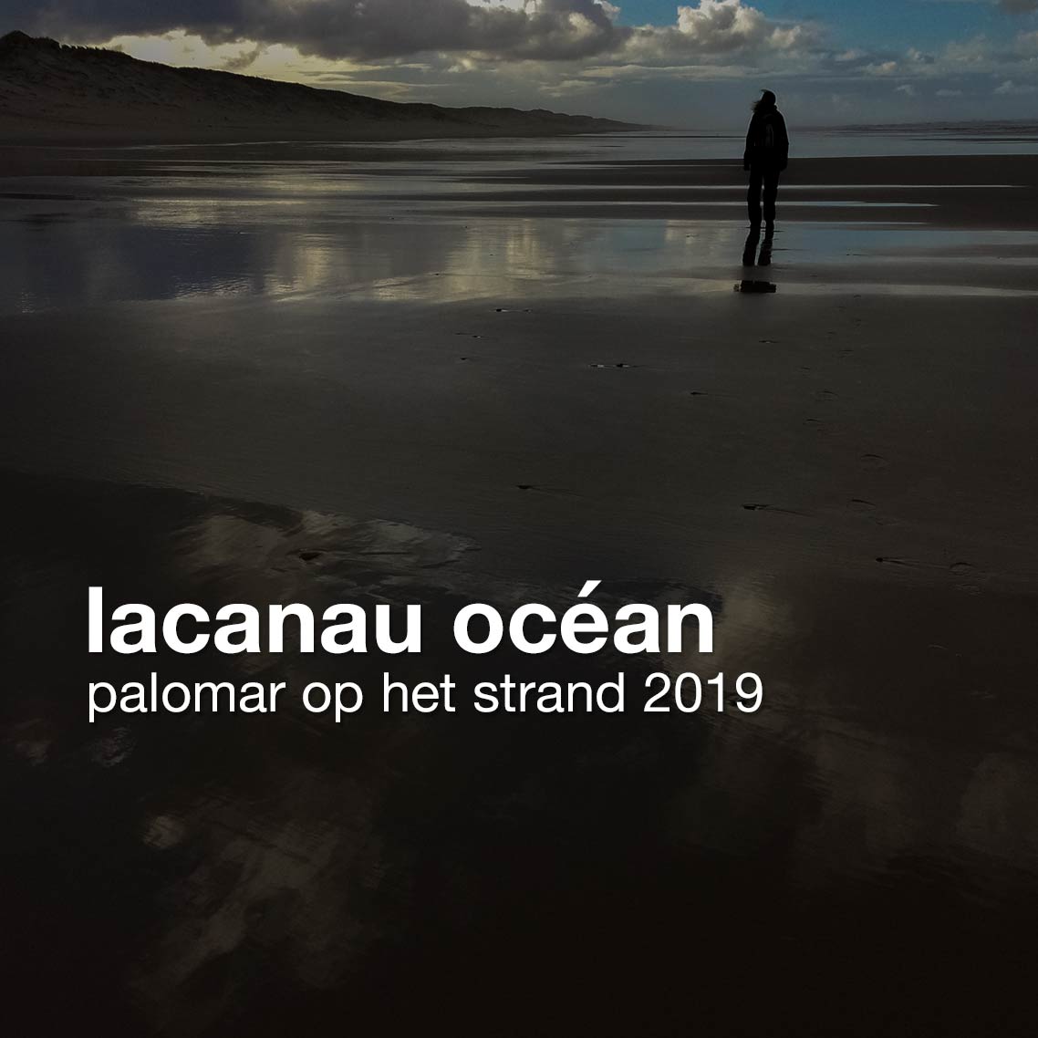 lacanau océan | palomar op het strand 2019 | frankzweers.nl/